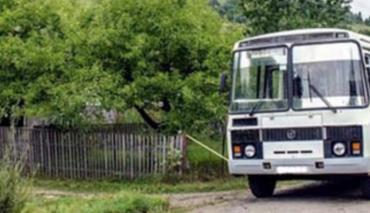 В белорусские деревни и небольшие населенные пункты могут начать ходить автобусы по вызову 